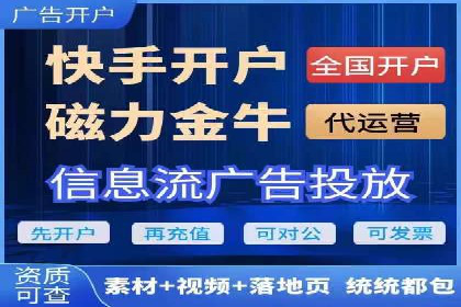 行业标杆：SEM推广代运营成功案例